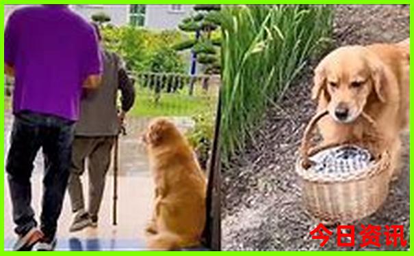 哈尔滨必须去的景点